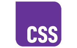 CSS logo